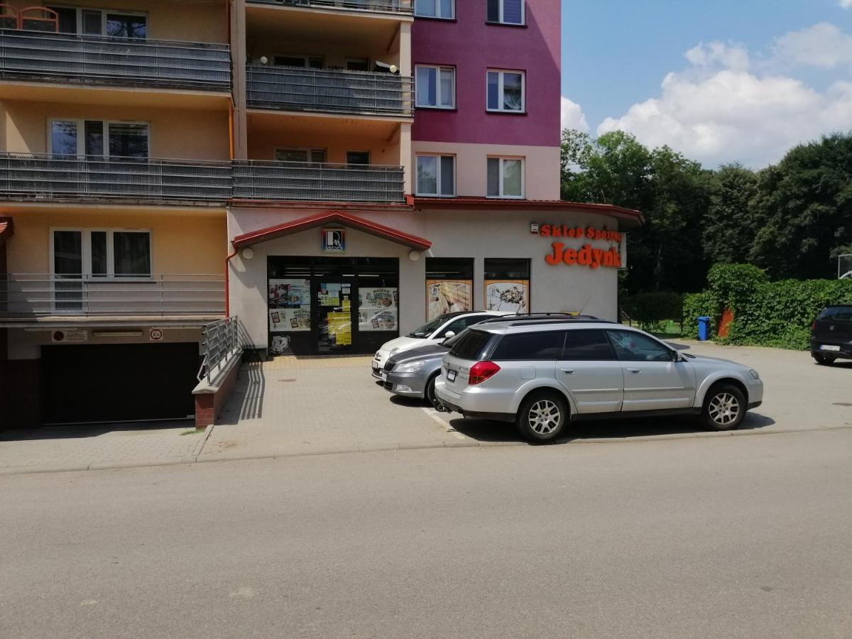 Apartament Witkiewicza Санок Екстер'єр фото